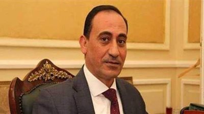 برلماني: منظمات حقوق الإنسان المشبوهة أحد أدوات حروب الجيل الرابع ضد مصر