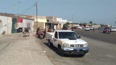 حملات مكبرة لمنع استخدام الطائرات الورقية على شاطئ المكس في الإسكندرية