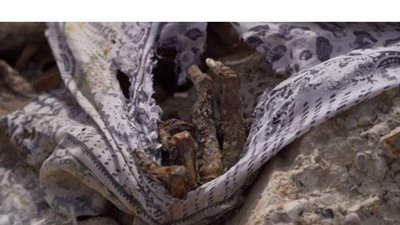 تفاصيل وفاة عامل وتحلل جثته في 15 مايو.. عاش وحيدا في شقته.. رائحة كريهة دفعت الجيران لإبلاغ الشرطة.. والنيابة تكشف سبب الوفاة