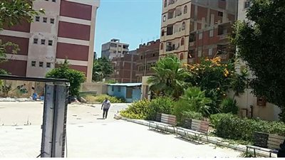 الاستعدادات النهائية لانتخابات مجلس الشيوخ بالإسكندرية | صور