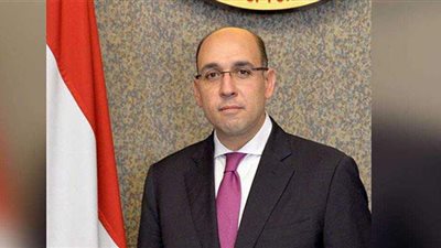 الخارجية: غرفة عمليات لتلقي شكاوى المصريين المشاركين في التصويت بمجلس الشيوخ