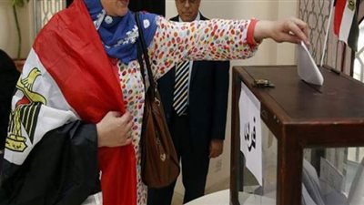 بدء عملية تصويت المصريين بكوريا الجنوبية والصين للمشاركة في مجلس الشيوخ