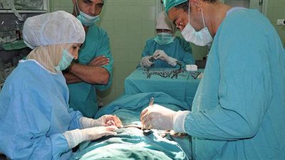 وكيل صحة الدقهلية: أجرينا  3500 عملية جراحية في مبادرة الرئيس للقضاء على قوائم الانتظار