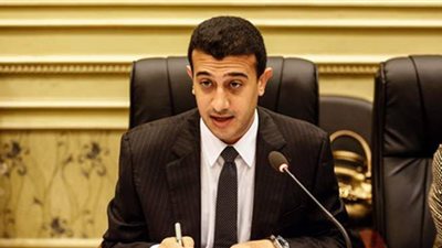 خارجية البرلمان توجه تحية للمصريين في الخارج لمشاركتهم في انتخابات الشيوخ