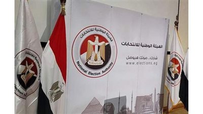 اتحاد المصريين في الخارج : التجاوب مع سير العملية الانتخابية مقبول