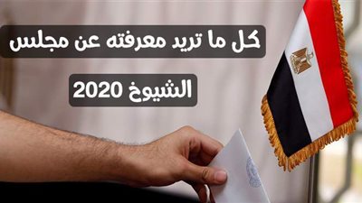 كل ما تريد معرفته عن مجلس الشيوخ 2020  | إنفوجراف