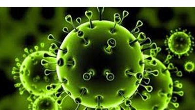 ماذا يفعل فيروس كورونا في جسم الإنسان بعد الشفاء؟