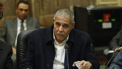 أمين مسعود يناشد المواطنين المشاركة في انتخابات مجلس الشيوخ