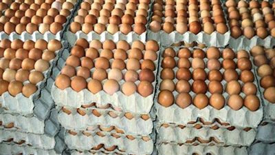 تجارية القاهرة: تراجع أسعار كرتونة البيض في الأسواق المحلية