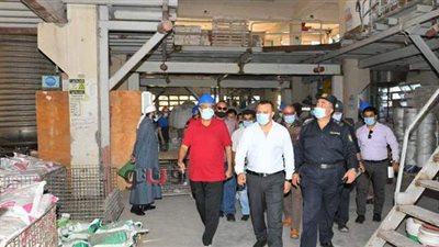 لجنة للمرور على المصانع للتأكد من توافر اشتراطات الحماية المدنية بالدقهلية | صور