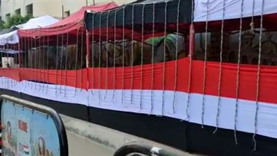 انتشار أمنى مكثف أمام اللجان الانتخابية بالقاهرة  | فيديو