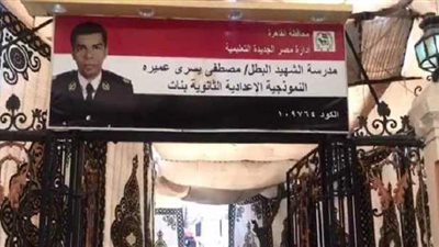 وصول القضاة والمشرفون إلى لجنة تصويت الرؤساء وكبار رجال الدولة بمصر الجديدة