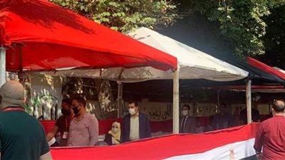 شاهد.. توافد عشرات المواطنين للإدلاء بأصواتهم فى لجان القاهرة وسط الإجراءات الوقائية | فيديو