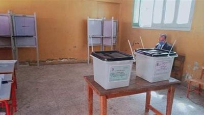 طريقة التصويت في انتخابات مجلس الشيوخ 2020 | فيديو