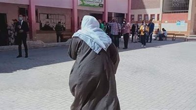 كبار السن يتصدرون المشهد فى انتخابات الشيوخ بالإسكندرية