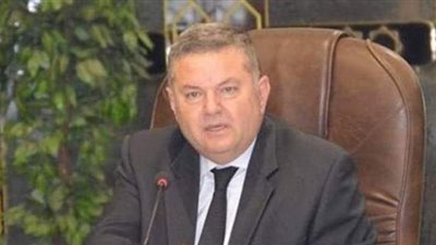 وزير قطاع الأعمال يؤكد أهمية المشاركة في انتخابات الشيوخ | فيديو