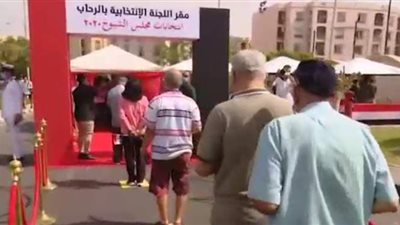 بالأعلام وهتافات تحيا مصر .. توافد المواطنين على لجان التجمع الأول |  فيديو