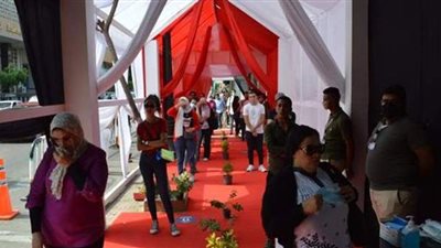 الشباب يتصدر انتخابات مجلس الشيوخ  بلجنة قصر الدوبارة | صور