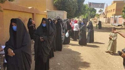 التزام المواطنين بارتداء الكمامات أثناء الإدلاء بأصواتهم بلجان الأقصر