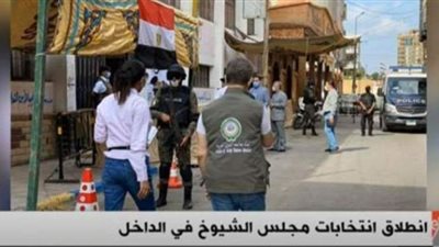 مراقبون دوليون يتفقدون سير العملية الانتخابية لمجلس الشيوخ| فيديو