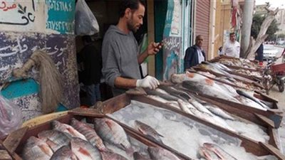 أسعار الأسماك في سوق العبور لتجارة الجملة 2020/8/11