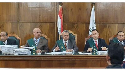 الإدارية العليا عن الخطف الأسرى للأطفال: يترك أثرا غائراً وأخطر أشكال العنف