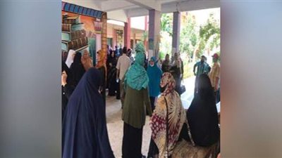 إقبال كثيف من السيدات علي  انتخابات الشيوخ بالغربية | صور