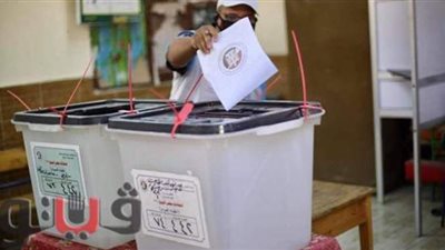 وفد من الجامعة العربية يتفقد لجان انتخابات الشيوخ بالهرم | صور