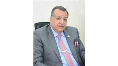 محمد سعد الدين: ترسيم الحدود البحرية يقضى على أطماع تركيا فى المياه المصرية