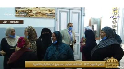 زغاريد داخل لجان انتخابات مجلس الشيوخ بالمنوفية | فيديو