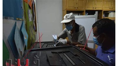 المصرية لحقوق الإنسان ترصد دعاية انتخابية للنور والوفد  بأسيوط