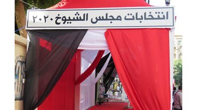 الشباب يتسابقون للإدلاء بأصواتهم فى انتخابات الشيوخ بالقاهرة lفيديو