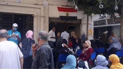 تزايد الإقبال على لجان انتخابات الشيوخ في غرب الإسكندرية | صور