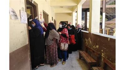 ٨ صور ترصد إقبال الناخبين على لجان انتخابات مجلس الشيوخ بالإسكندرية