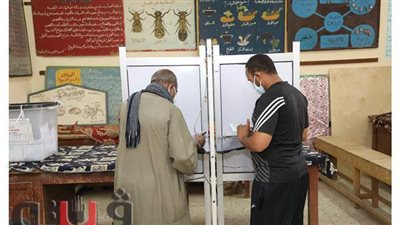 إقبال متوسط على لجان الاقتراع بنجع حمادي في قنا| صور