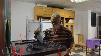 زيادة الإقبال على انتخابات مجلس الشيوخ في لجان القاهرة والجيزة