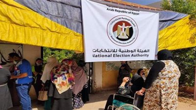 مسنة في لجنة بكفر الشيخ: 