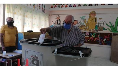 الناخبون يواصلون التوافد على لجان انتخابات الشيوخ بشمال سيناء | فيديو