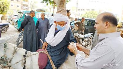 مسن بالقليوبية يدلي بصورته في انتخابات الشيوخ على حماره