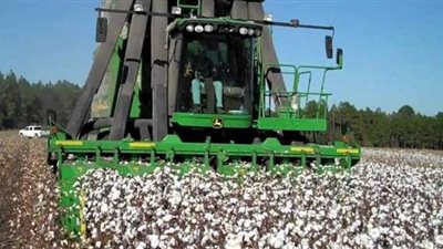 عمومية العربية لحليج الأقطان تنتخب ياسين ونصر والزواوي أعضاءً لمجلس الإدارة