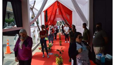 محافظ الإسكندرية للمواطنين:  التصويت في انتخابات الشيوخ لا يستغرق أكثر من 5 دقائق