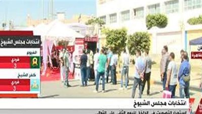 طوابير في انتخابات مجلس الشيوخ لليوم الثاني على التوالي | فيديو