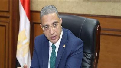 محافظ الفيوم: لم نتلق شكاوى أو مخالفات من اللجان الانتخابية | فيديو