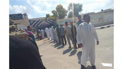 طوابير أمام لجان انتخابات مجلس الشيوخ بالشيخ زويد  | صور