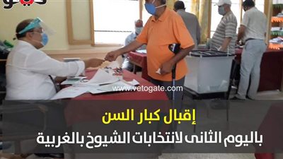 إقبال كبار السن باليوم الثانى لانتخابات الشيوخ بالغربية | فيديو