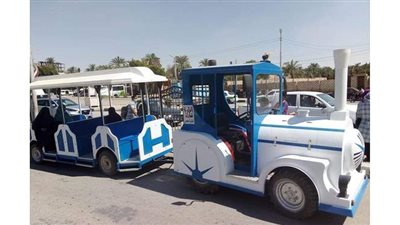 «طفطف» لنقل الناخبين بالمجان إلى اللجان الانتخابية في الوادي الجديد | صور