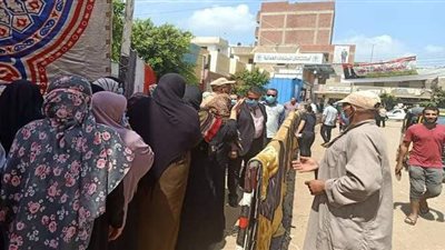 العائلات تساهم في زيادة الإقبال بانتخابات الشيوخ بالقليوبية