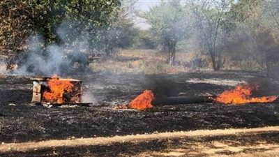 اندلاع حرائق في مستوطنات إسرائيلية نتيجة سقوط بالونات حارقة