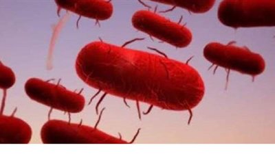 تسجيل وفاة جديدة بالطاعون الدبلي في الصين