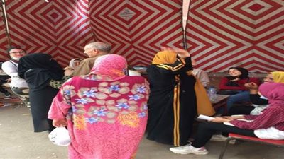 السيدات يتصدرن المشهد الانتخابي بالقليوبية